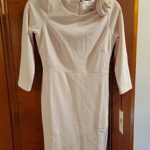 Calvin Klein Women's Dress